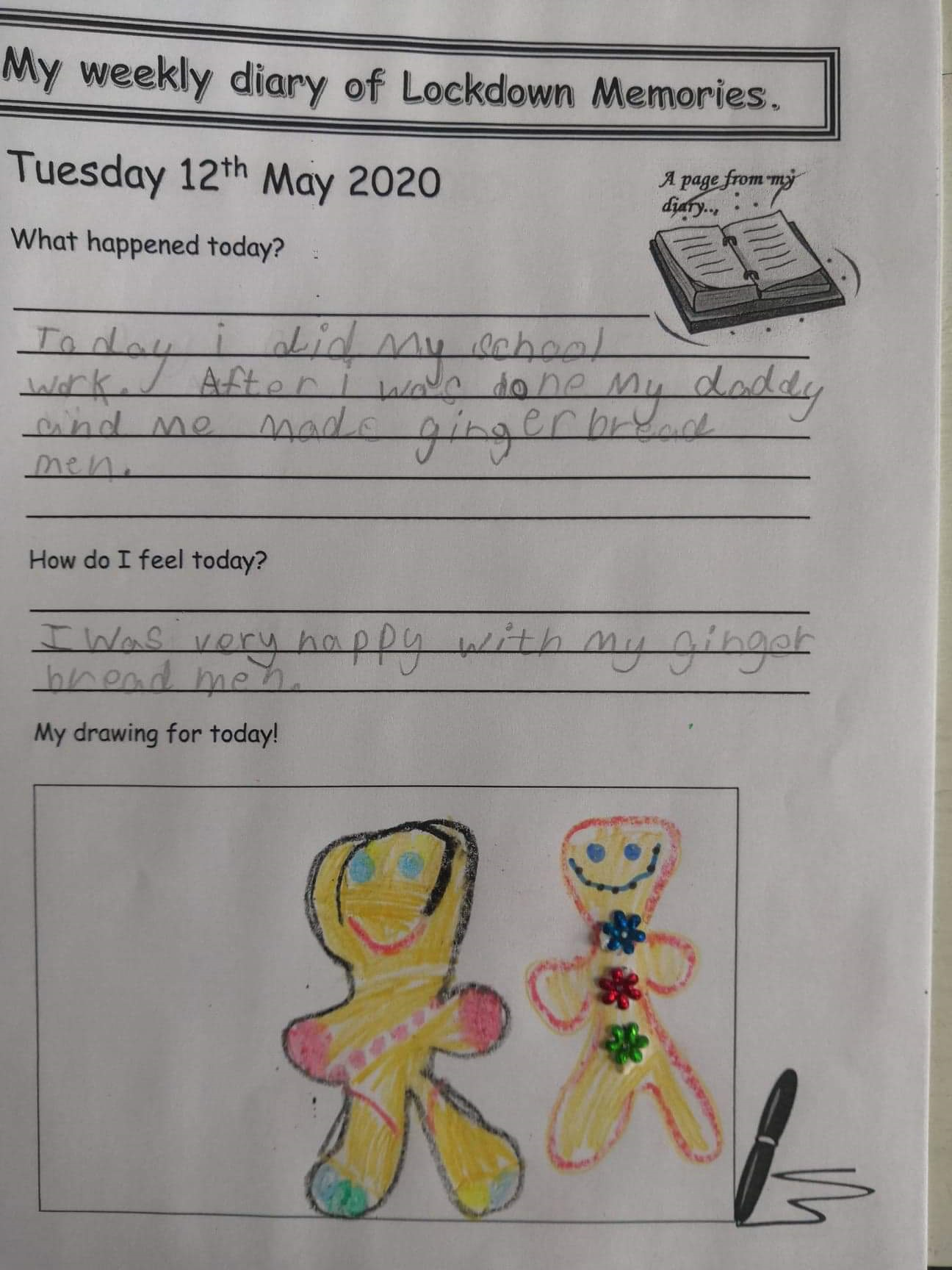 Riley Diary 4 St Eugenes Primary School Derry